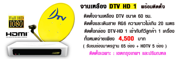จานเหลือง DTV HD1