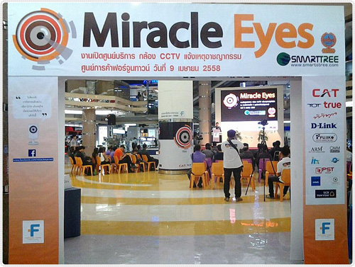 Miracle Eyes